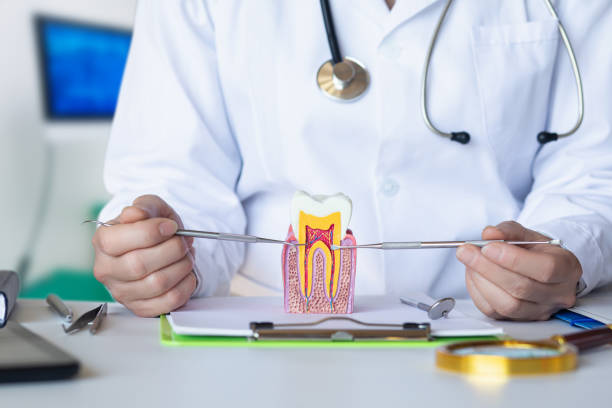 Best Emergency Treatment for Dental Infections or Abscesses in La Porte, TX